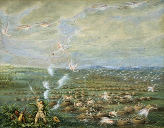 George Catlin - Flamingo Shooting in South America.webp
