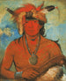 Hh-Je-Day-Ah-Shee Incontro con uccelli coraggiosi - George Catlin — vista dell’opera