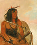 Isharyeh Celui qui porte un loup est un brave distingué - George Catlin — vista dell’opera