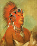 Jeehohshah non può essere gettato a terra come guerriero - George Catlin — vista dell’opera