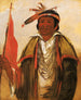 Kechnmqua Big Bear - George Catlin — vista dell’opera