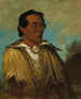 Keennekuk, Primo Uomo, Capo della Tribù - George Catlin — vista dell’opera