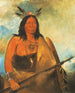 Kotsokrok Cheveux del collo dei tori, un capolavoro - George Catlin — vista dell’opera