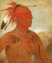 Lawhhecootslashwno Brave Chief e Skidi Wolf Pawnee - George Catlin — vista dell’opera