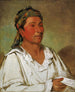 Layloahpeeisheekaw Herba Arbusto e Fiore Semi-civilizzato - George Catlin — vista dell’opera