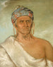 Laylwshekaw risale il fiume, un vecchio capo - George Catlin — vista dell’opera