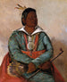 Msholatbbee Colui che spegne e uccide il capo della tribù - George Catlin — vista dell’opera