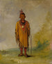 Me-su-wahk Deer's Hair Fils préféré de Kee-ok-k - George Catlin — vista dell’opera