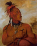 Meach-o-shn-gaw Piccolo Orso Bianco, un coraggioso distinto - George Catlin — vista dell’opera