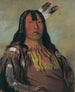 Mix-ke-mte-skin-na Corno di Ferro di un guerriero - George Catlin — vista dell’opera