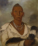 Mk-a-tah-mish-o-khaik Black Hawk, capo della tribù del sac - George Catlin — vista dell’opera
