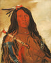 Nhee-ee-wo-tis Loup sur la colline Capo della tribù - George Catlin — vista dell’opera