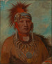 Neu-mon-ya Walking Rain Chef de guerre - George Catlin — vista dell’opera