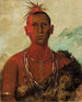 Nh-ses-kuk Whirling Thunder, figlio maggiore di Black Hawk - George Catlin — vista dell’opera