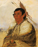 Ni-a-c-mo Fix con il piede di un valoroso - George Catlin — vista dell’opera