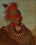 No-ho-mun-ya Colui che non presta alcuna attenzione - George Catlin — vista dell’opera