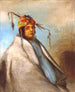 Nonondgon un chef - George Catlin — vista dell’opera