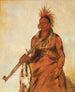 Noomnnee marche sous la pluie en guerrier - George Catlin — vista dell’opera