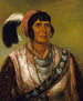 Osceol The Black Drink, un guerriero di grande distinzione - George Catlin — vista dell’opera
