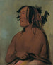 Pa-ris-ka-ro-pa Due Corvi Il Giovane - George Catlin — vista dell’opera