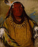 Pa-ris-ka-ro-pa Due Corvi un Capo - George Catlin — vista dell’opera