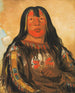 Peh-Tä-Pe-Kiss Eagles affronta un capo Piegan - George Catlin — vista dell’opera