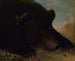ritratti di un orso grizzly e di un topo a grandezza naturale - George Catlin — vista dell’opera