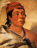 Round Island, un guerriero - George Catlin — vista dell’opera