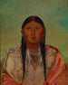 Ru-Ton-Wee-Me Piccione sull'ala - George Catlin — vista dell’opera