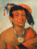 Sha-W-No Le Sud, un guerrier riconosciuto - George Catlin — vista dell’opera
