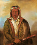 Shee-Nh-Wee - George Catlin — vista dell’opera