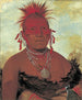 Chef des chevaux Shn-Ka-Ki-Hega Gran capo dei Pawnee - George Catlin — vista dell’opera