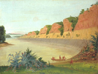 Lato sud dell'isola Buffalo che mostra baie di bufali in primo piano - George Catlin — vista dell’opera
