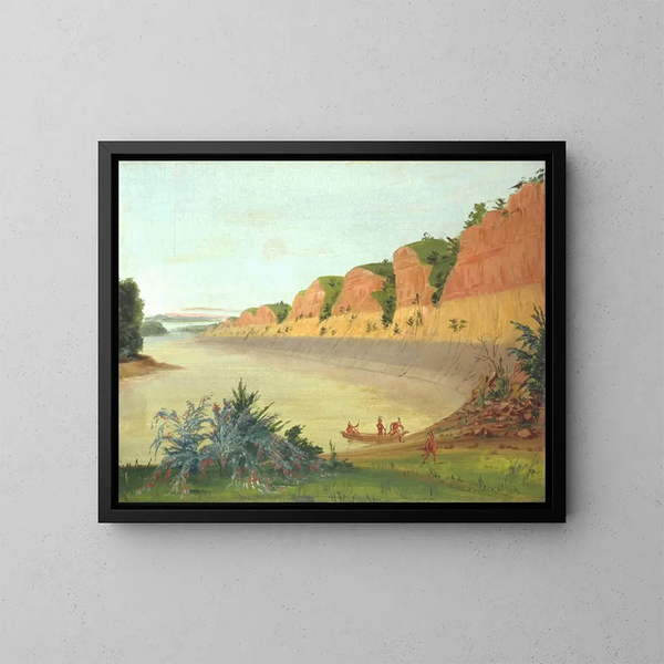 Lato sud dell'isola Buffalo che mostra baie di bufali in primo piano - George Catlin — quadro incorniciato alla parete