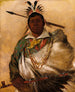 Th-Ke-Nh-Kee Black Coat un chef - George Catlin — vista dell’opera