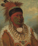 Il Capo della Nuvola Bianca degli Iowa - George Catlin — vista dell’opera
