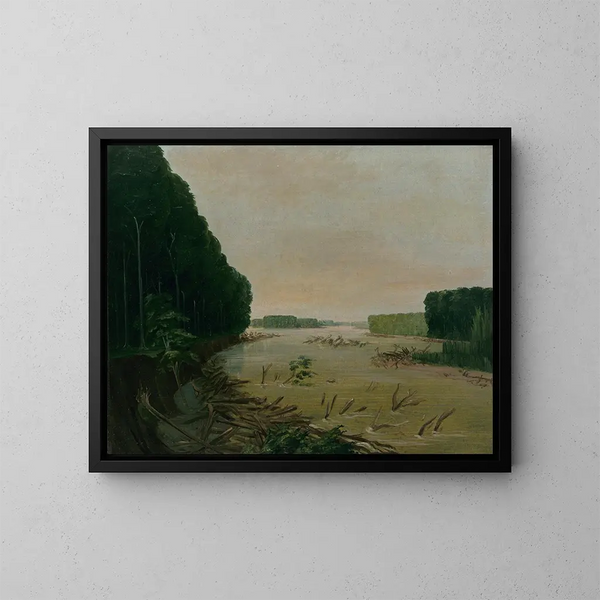 Vista sulle rive alluvionali del Missouri a 600 miglia a monte di Saint-Louis - George Catlin — quadro incorniciato alla parete