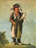 WahKnZeKaw il serpente - George Catlin — vista dell’opera