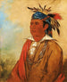 WahPnJeeA Il Cigno un Guerriero - George Catlin — vista dell’opera