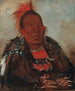 WahRoNeSah, il capo circondato dalla tribù - George Catlin — vista dell’opera