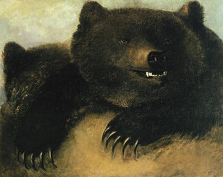 Armi e fisiognomia dell'orso grizzly - George Catlin — vista dell’opera