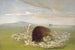 Lupi bianchi che attaccano un toro di bisonte - George Catlin — vista dell’opera