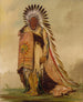 WnEeTon Capo della tribù - George Catlin — vista dell’opera
