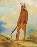 WonDeTwA La Merveille - George Catlin — vista dell’opera