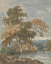 Alberi sul bordo di un fiume - George Chinnery — vista dell’opera
