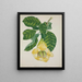 Mon Jardin à Ceylan Pl016 - George De Alwis — quadro incorniciato alla parete
