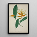 Mon Jardin à Ceylan Pl068 - George De Alwis — quadro incorniciato alla parete