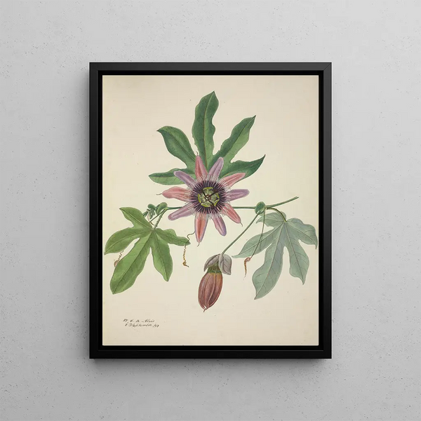 George De Alwis - Mon Jardin a Ceylan Pl097.webp