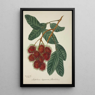 George De Alwis - Mon Jardin a Ceylan Pl135.webp