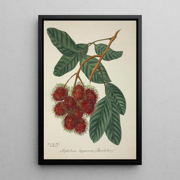 George De Alwis - Mon Jardin a Ceylan Pl135.webp